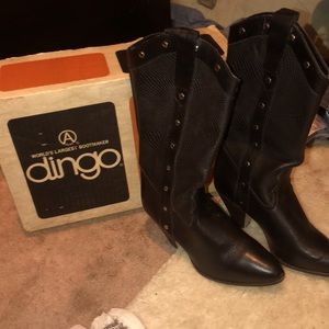 Dingo cow girl boots